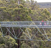 Walpole Wilderness Discovery Centre - Australia Accommodation