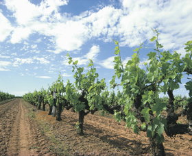 Blackwood Meadery - Australia Accommodation 0
