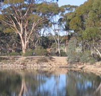 Merredin Railway Dam - Australia Accommodation