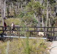 Forest Path Crooked Brook - Australia Accommodation