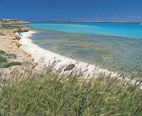 Paradise Beach - Australia Accommodation 0