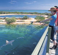 Shark Bay Marine Park - Australia Accommodation