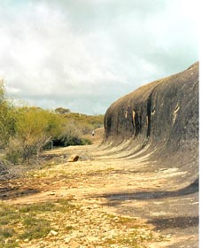 Totadgin Dam Reserve - Australia Accommodation 0