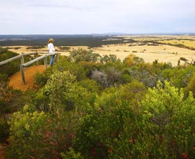 Archer Drive Scenic Drive And Lookout - Australia Accommodation 0