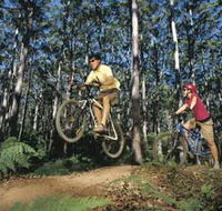 Leeuwin-Naturaliste National Park - Cowaramup - Australia Accommodation