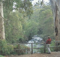 Cascades - Australia Accommodation
