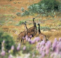 Jurabi Coastal Reserve - Australia Accommodation