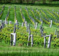 Sienna Estate Winery - Australia Accommodation