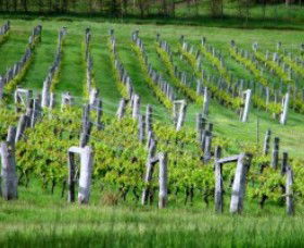 Sienna Estate Winery - Australia Accommodation 0