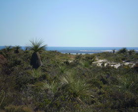 Lesueur National Park - Australia Accommodation 0