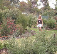 The Mythic Mazes - Australia Accommodation