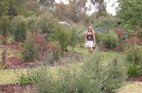 The Mythic Mazes - Australia Accommodation 0