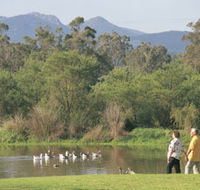 Porongurup National Park - Australia Accommodation