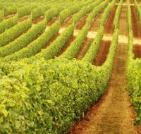 Xanadu Wines - Australia Accommodation