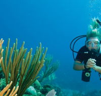 Coastal Water Dive - Australia Accommodation