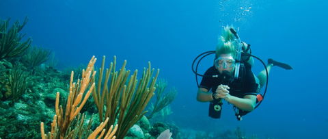 Coastal Water Dive - Australia Accommodation 0