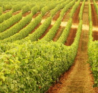 MadFish Wines Denmark - Australia Accommodation