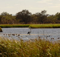 Anytime Adventures in Mandurah  the Peel Region - Australia Accommodation