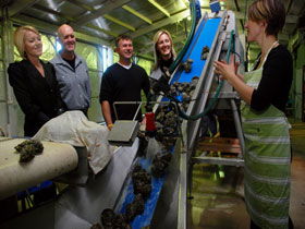 Eyre Peninsula's Seafood Trail - Australia Accommodation 0