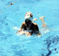 Mount Gambier Aquatic Centre - Australia Accommodation