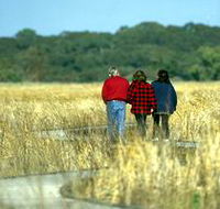 Onkaparinga River Recreation Park - Australia Accommodation