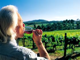 Ashton Hills Vineyard - Australia Accommodation 0