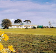 Lucindale Country Club - Australia Accommodation