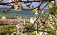Cradle Of Hills McLaren Vale Winery - thumb 0