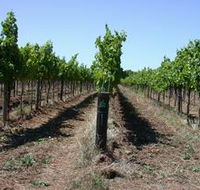 Temple Bruer Winery - Australia Accommodation