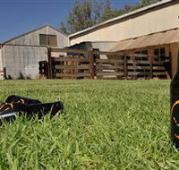 Wilkadene Woolshed Brewery - Australia Accommodation