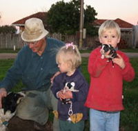 Orrie Cowie Merino and Poll Merino Stud - Australia Accommodation