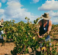 Torbreck Vintners - Australia Accommodation