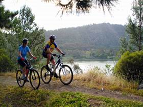Mount Gambier Crater Lakes Mountain Bike Trail - Australia Accommodation 0