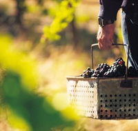 Burge Family Winemakers - Australia Accommodation