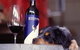 Koonara Wines - thumb 0
