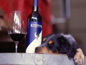 Koonara Wines - Australia Accommodation 0