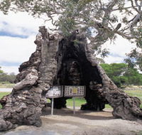 The Herbig Family Tree - Australia Accommodation
