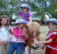 Amberainbow Pony Rides - Australia Accommodation