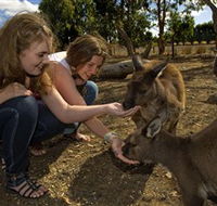 Kangaroo Island Wildlife Park - Australia Accommodation