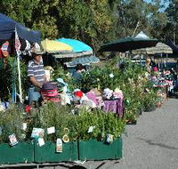Meadows Monthly Market - Australia Accommodation