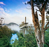 Tahune Adventures Tasmania - Australia Accommodation