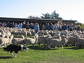  Australia Accommodation