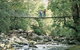 Arve Forest Drive - thumb 0