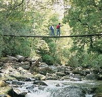 Arve Forest Drive - Australia Accommodation