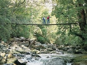 Arve Forest Drive - Australia Accommodation 0
