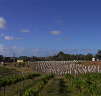 Deep Creek Wines and Alpacas - Australia Accommodation