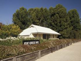 Mount Horrocks Wines And The Station Cafe - Australia Accommodation 0