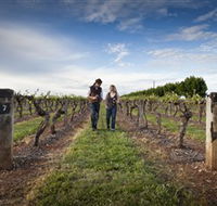 Coonawarra Wineries Walking Trail - Australia Accommodation