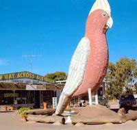 The Big Galah - Australia Accommodation