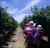 McLaren Vale Orchards - Australia Accommodation